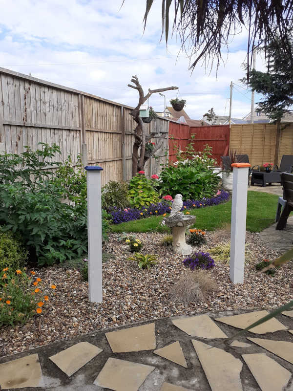 Garden8